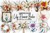 Lily Flower Boho Clipart Bundle