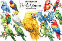 Parrots Clipart Bundle - CraftNest - Digital Crafting and Art