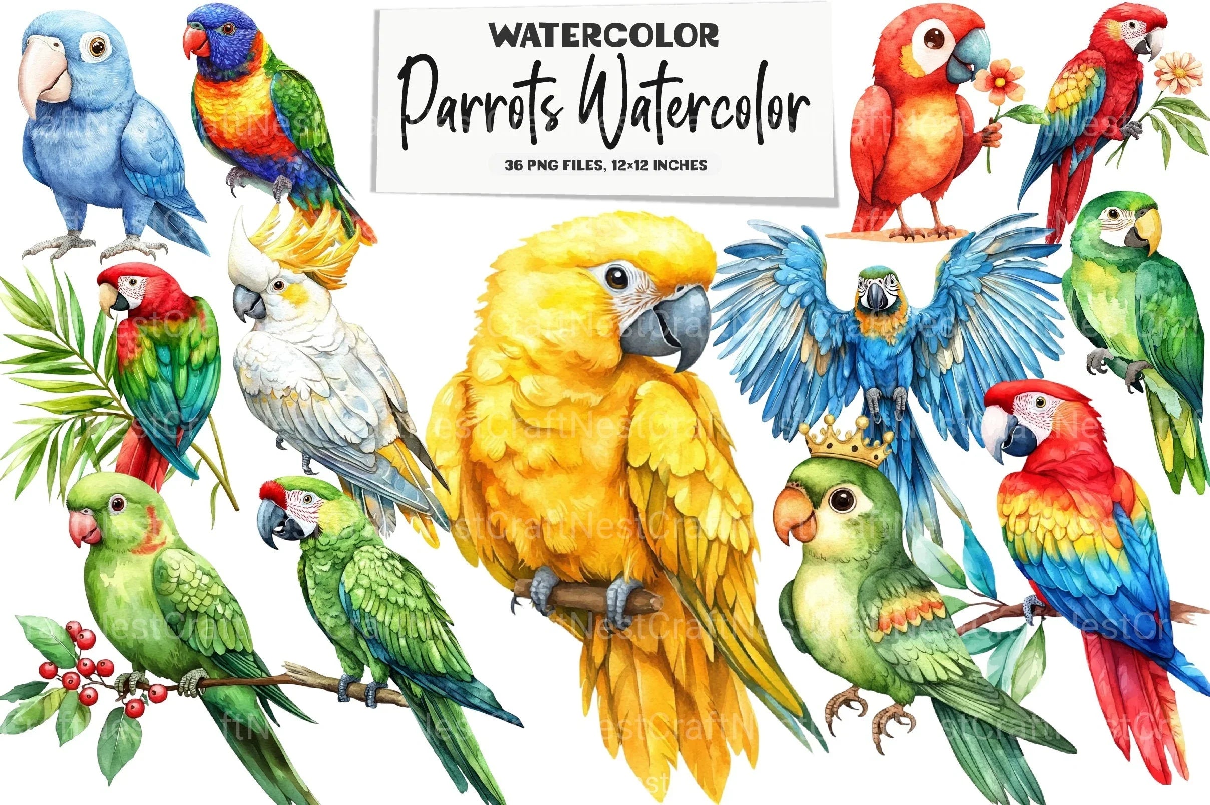 Parrots Clipart Bundle - CraftNest - Digital Crafting and Art