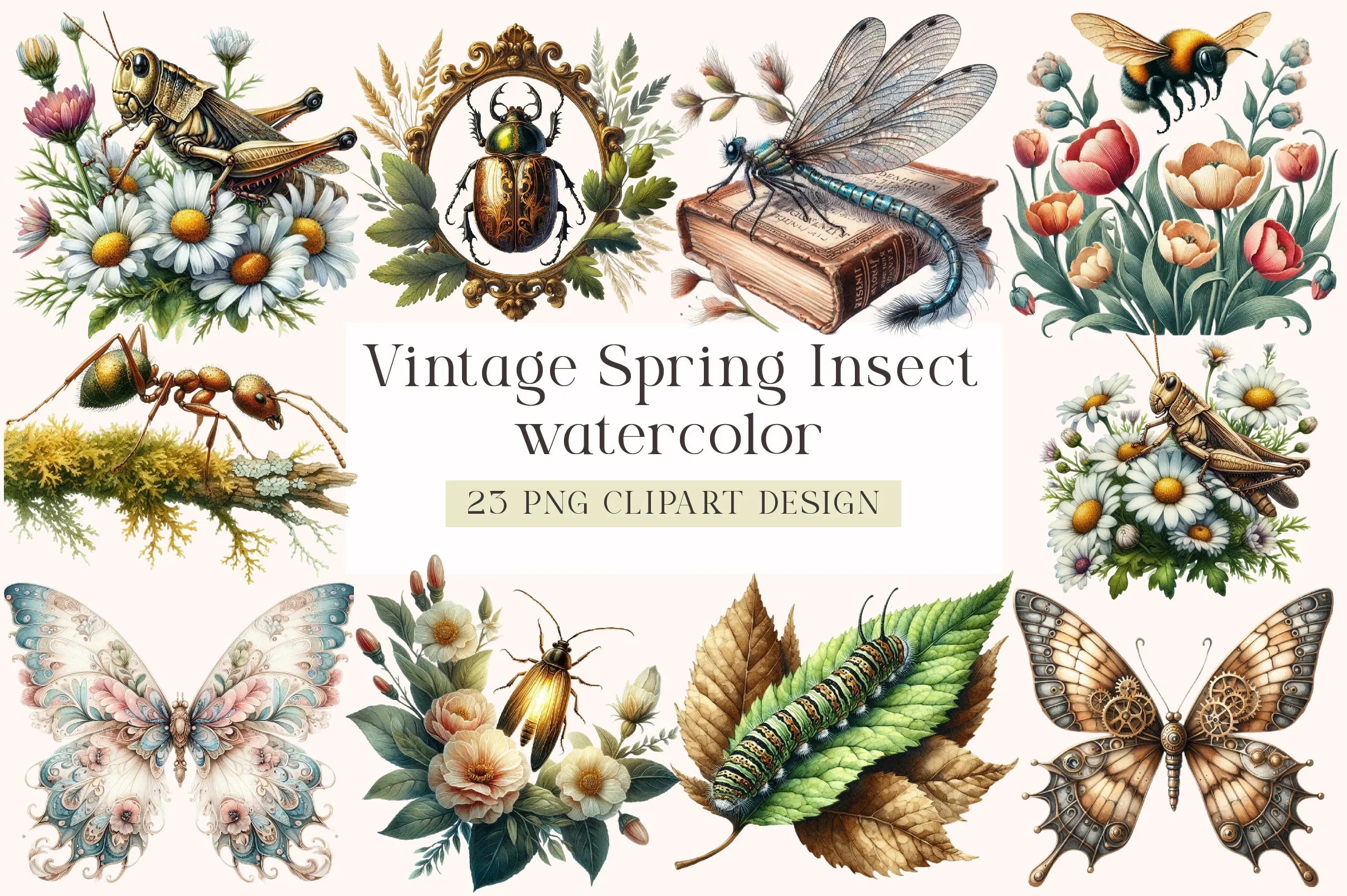 Vintage Spring Insect Clipart Bundle - CraftNest - Digital Crafting and Art