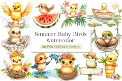 Summer Baby Birds Clipart Bundle - CraftNest - Digital Crafting and Art