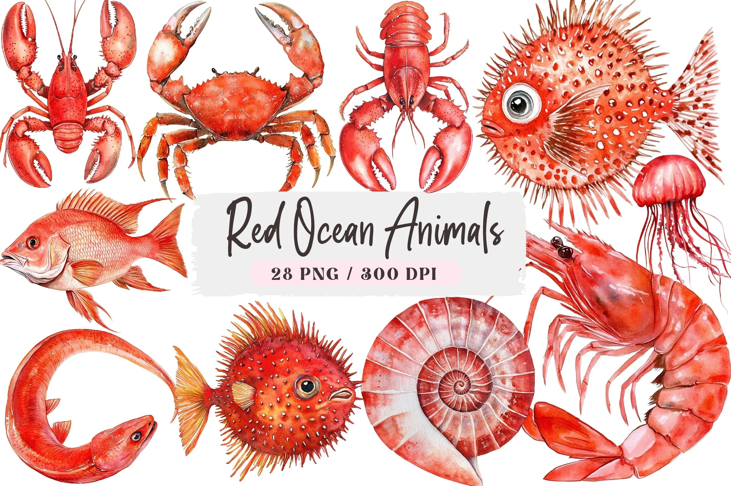 Red Ocean Animals Clipart Bundle - CraftNest - Digital Crafting and Art