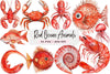 Red Ocean Animals Clipart Bundle
