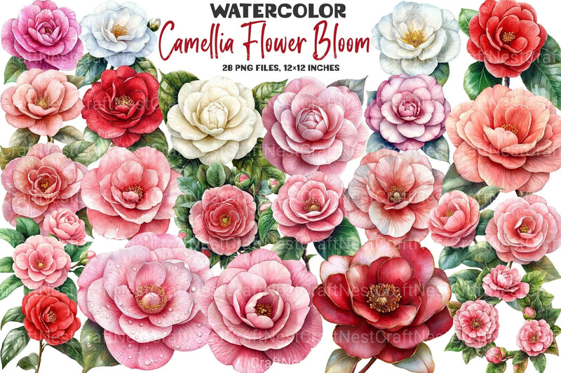 Camellia Flower Bloom Clipart Bundle 99 - CraftNest - Digital Crafting and Art