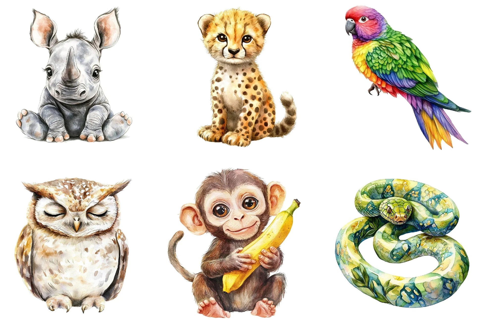 Cute Safari Animals Jungle Clipart Bundle - CraftNest - Digital Crafting and Art