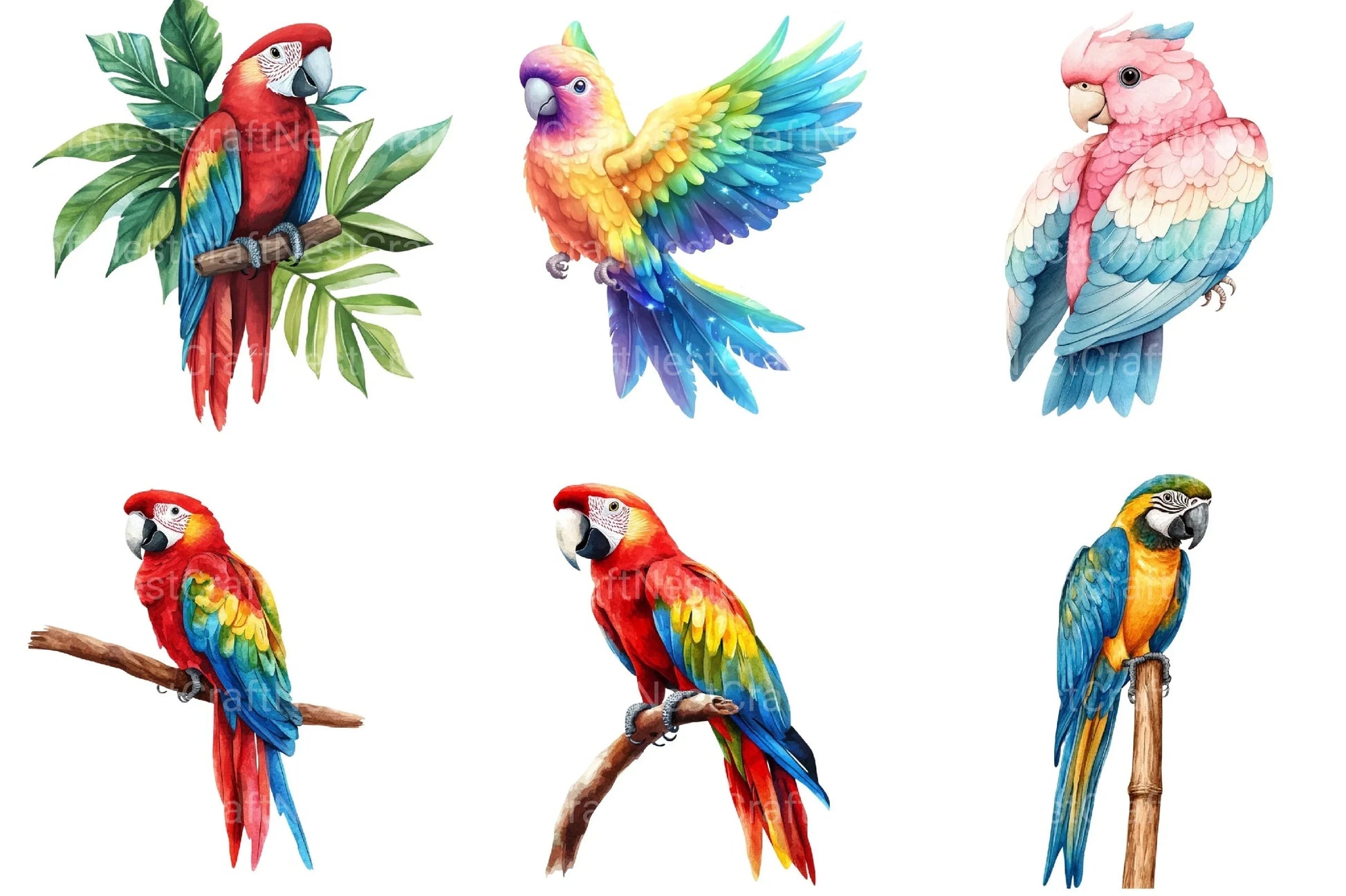 Parrots Clipart Bundle - CraftNest - Digital Crafting and Art