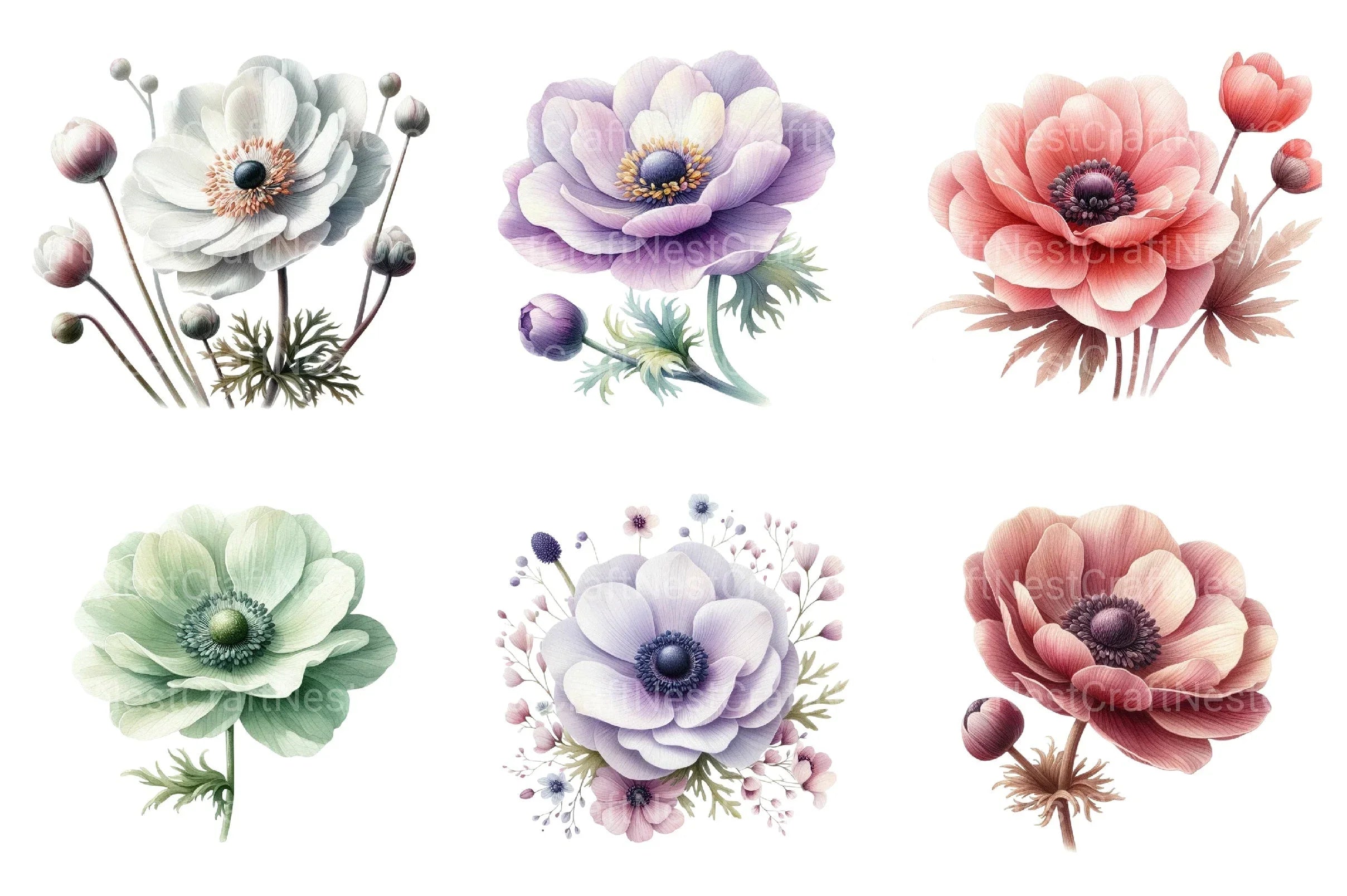 Anemone Flower Bloom Clipart Bundle 33 - CraftNest - Digital Crafting and Art