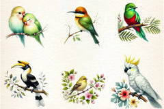Tropical Birds Clipart Bundle - CraftNest - Digital Crafting and Art