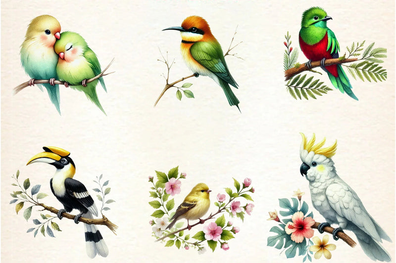 Tropical Birds Clipart Bundle - CraftNest - Digital Crafting and Art