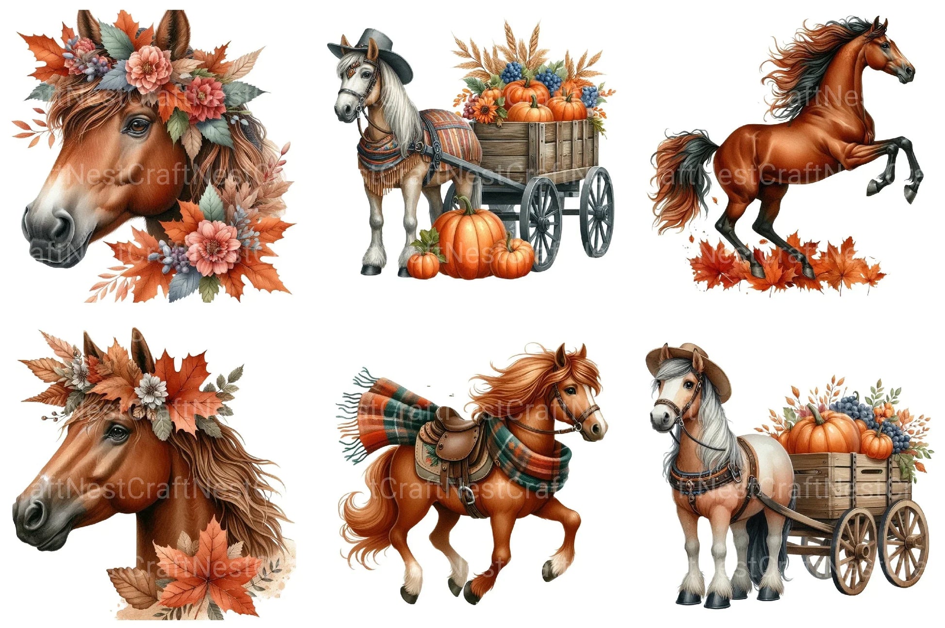 Autumn Brown Horse Clipart Bundle 99 - CraftNest - Digital Crafting and Art