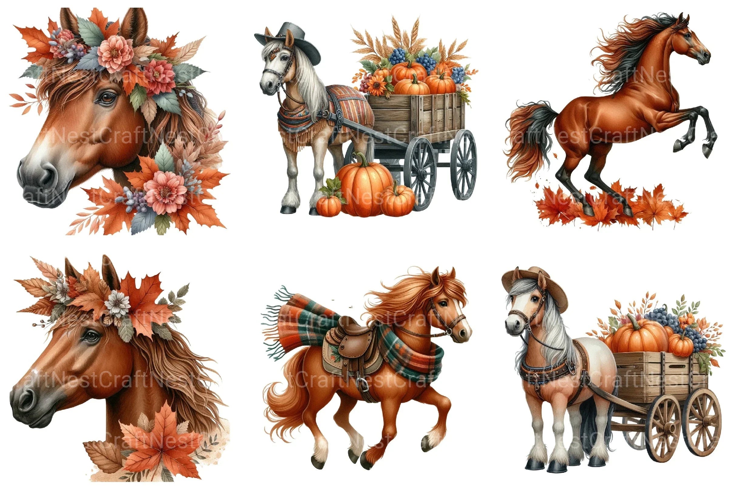 Autumn Brown Horse Clipart Bundle 99 - CraftNest - Digital Crafting and Art