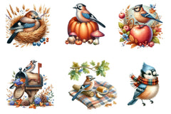 Cute Autumn Jay Birds Clipart Bundle - CraftNest - Digital Crafting and Art