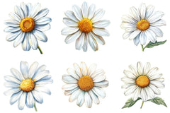 Daisy Flower Bloom Clipart Bundle - CraftNest - Digital Crafting and Art