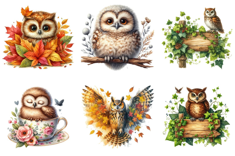 Owl Clipart Bundle - CraftNest - Digital Crafting and Art