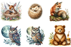 Woodland Animals Design Clipart Bundle - CraftNest - Digital Crafting and Art