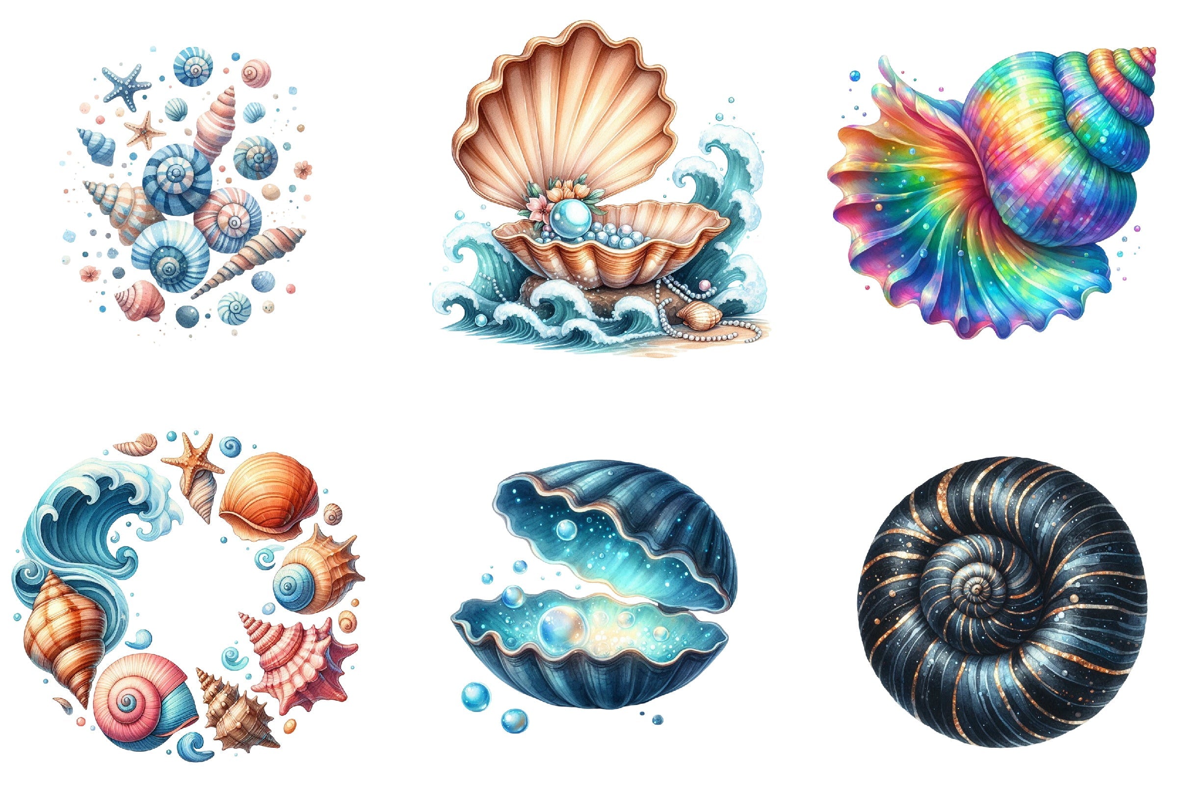 Ocean Sea Shell Clipart Bundle
