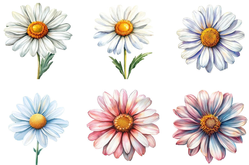 Summer Daisy Clipart Bundle - CraftNest - Digital Crafting and Art