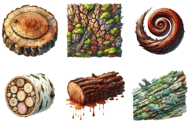 Tree Bark Clipart Bundle - CraftNest - Digital Crafting and Art