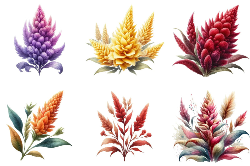 Celosia Flower Clipart Bundle - CraftNest - Digital Crafting and Art