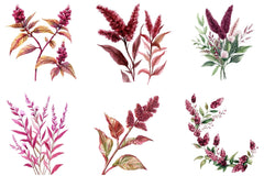 Amaranth Flower Clipart Bundle - CraftNest - Digital Crafting and Art