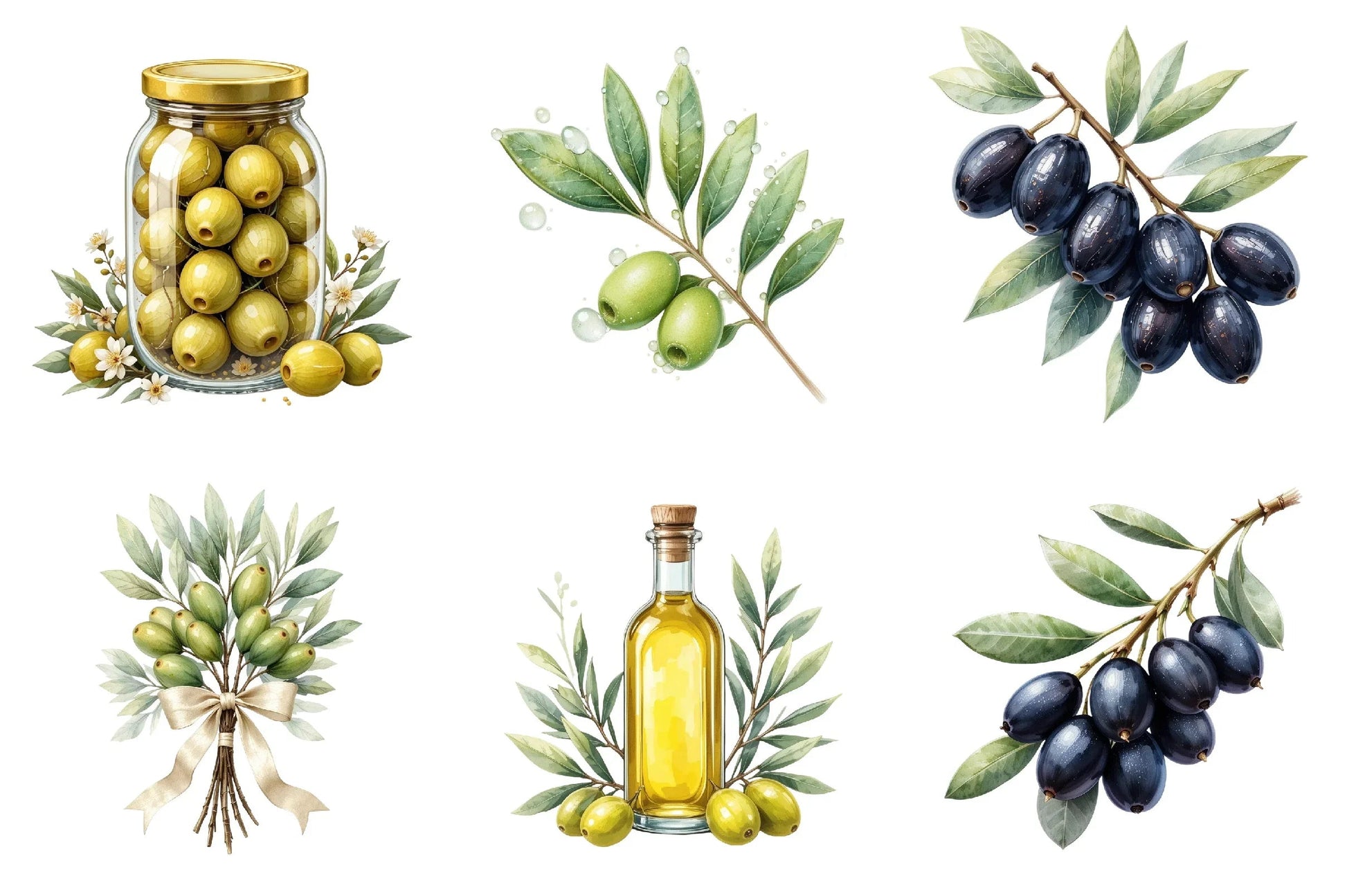 Olive Branch Clipart Bundle - CraftNest - Digital Crafting and Art
