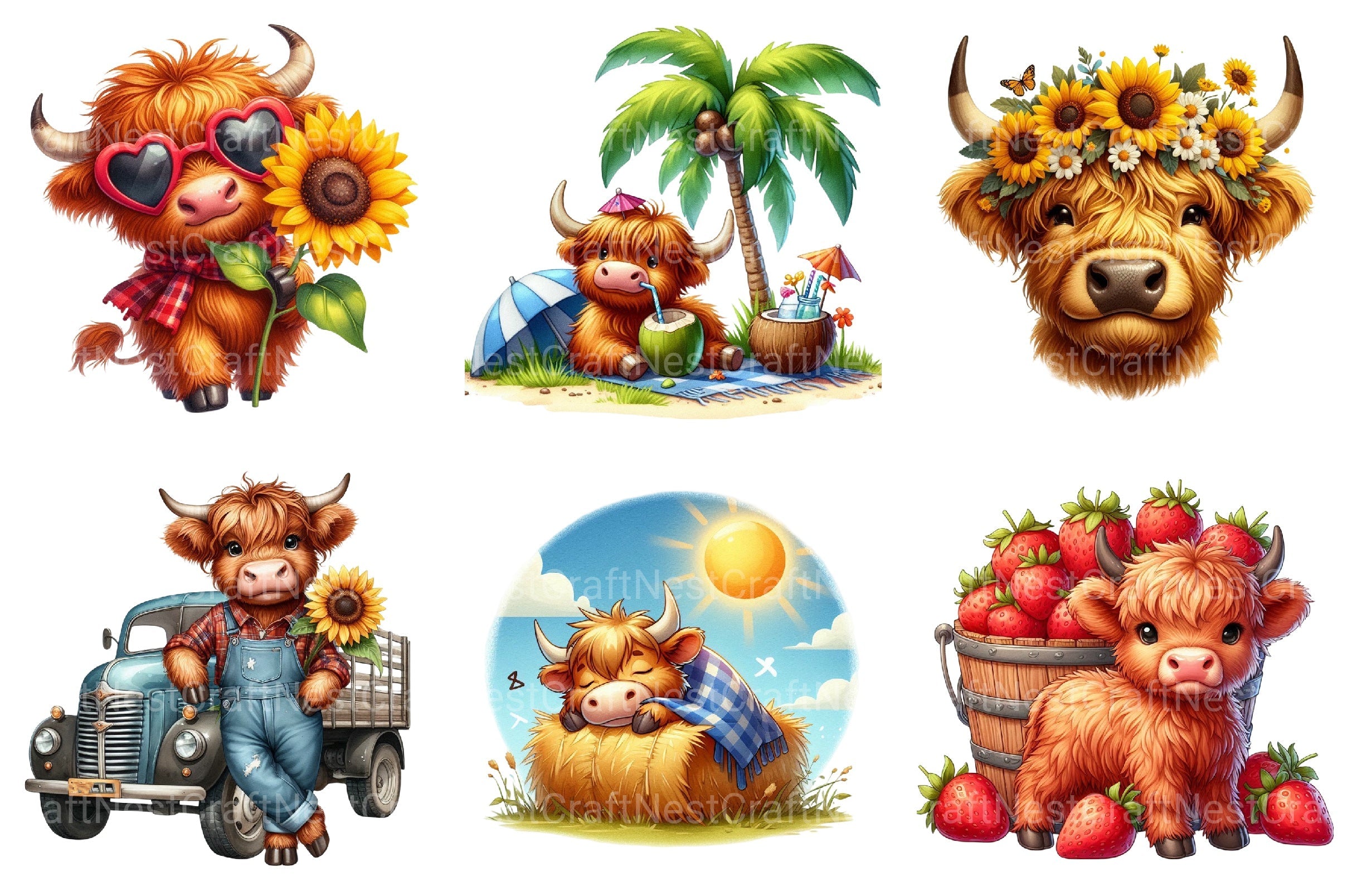 Summer Cute Highland Cow Clipart Bundle 1