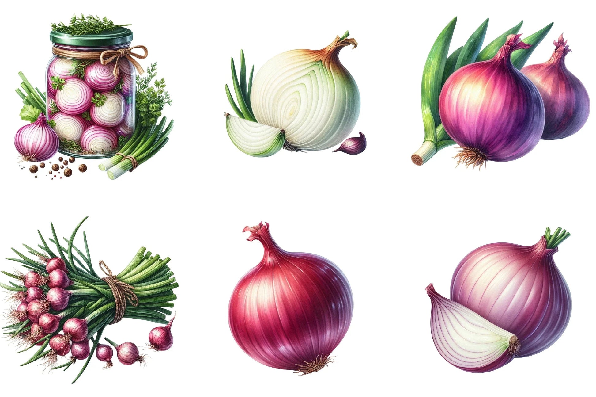 Onion Clipart Bundle - CraftNest - Digital Crafting and Art