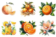 Oranges Clipart Bundle - CraftNest - Digital Crafting and Art