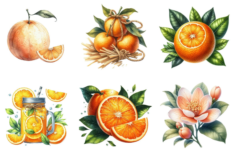 Oranges Clipart Bundle - CraftNest - Digital Crafting and Art