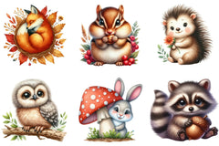 Woodland Animals Design Clipart Bundle - CraftNest - Digital Crafting and Art