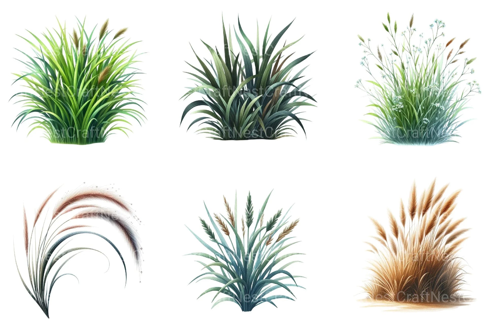 Grass Clipart Bundle for Creative Designs - CraftNest - Digital Crafting and Art