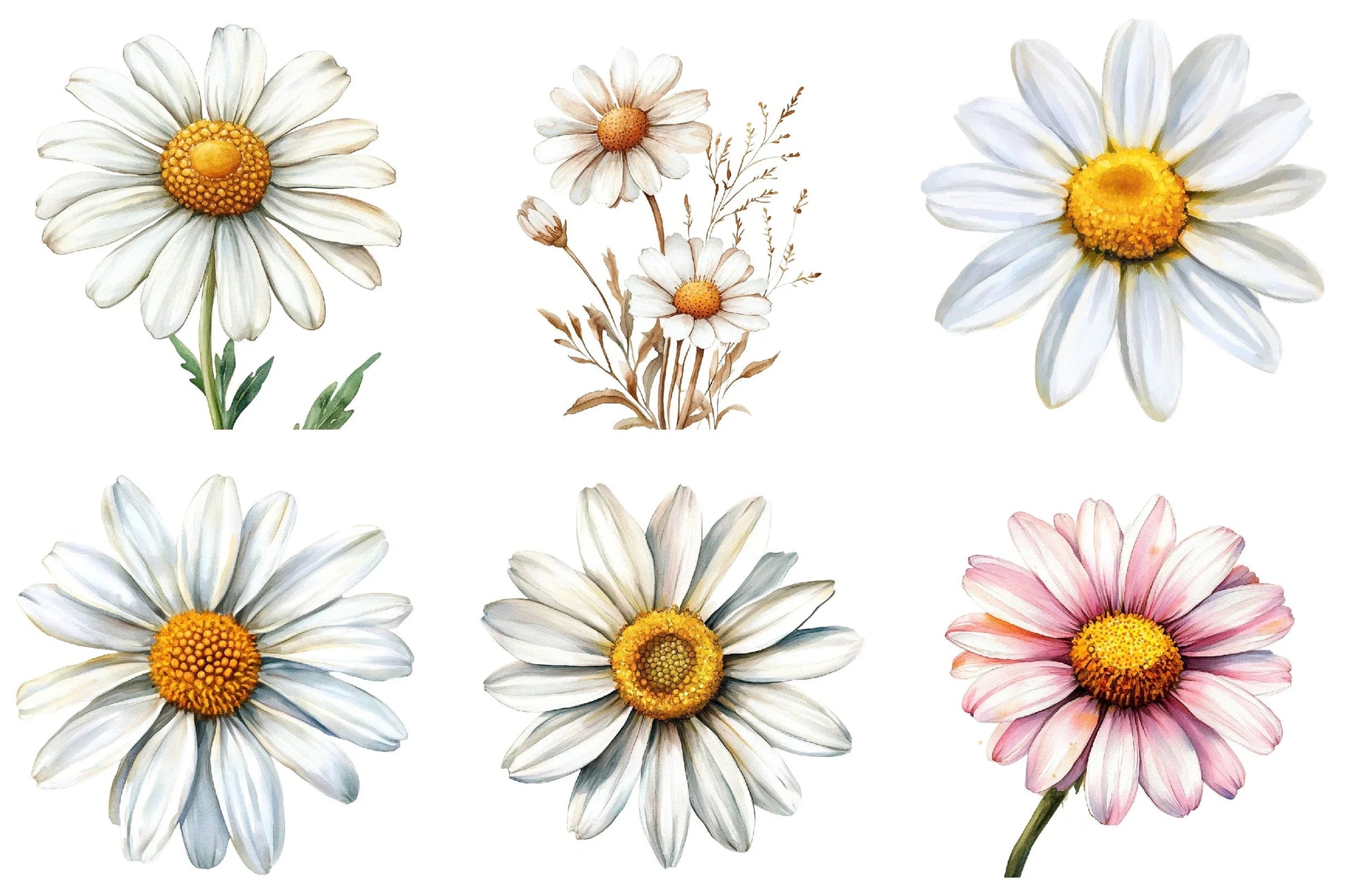 Daisy Flower Bloom Clipart Bundle - CraftNest - Digital Crafting and Art