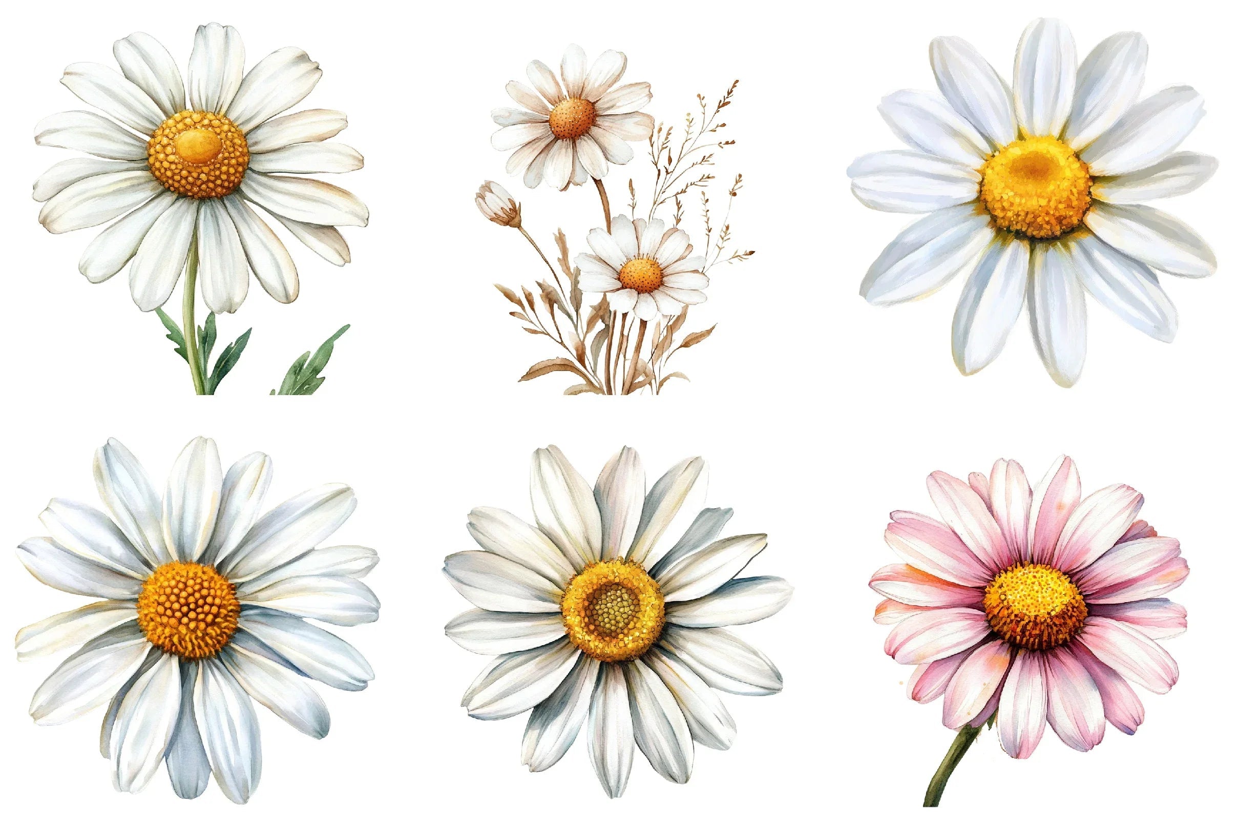 Daisy Flower Bloom Clipart Bundle - CraftNest - Digital Crafting and Art