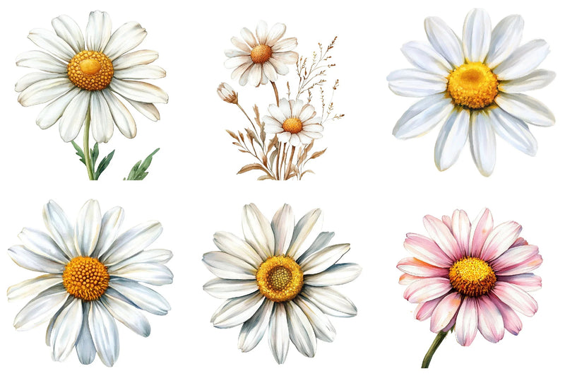 Daisy Flower Bloom Clipart Bundle - CraftNest - Digital Crafting and Art