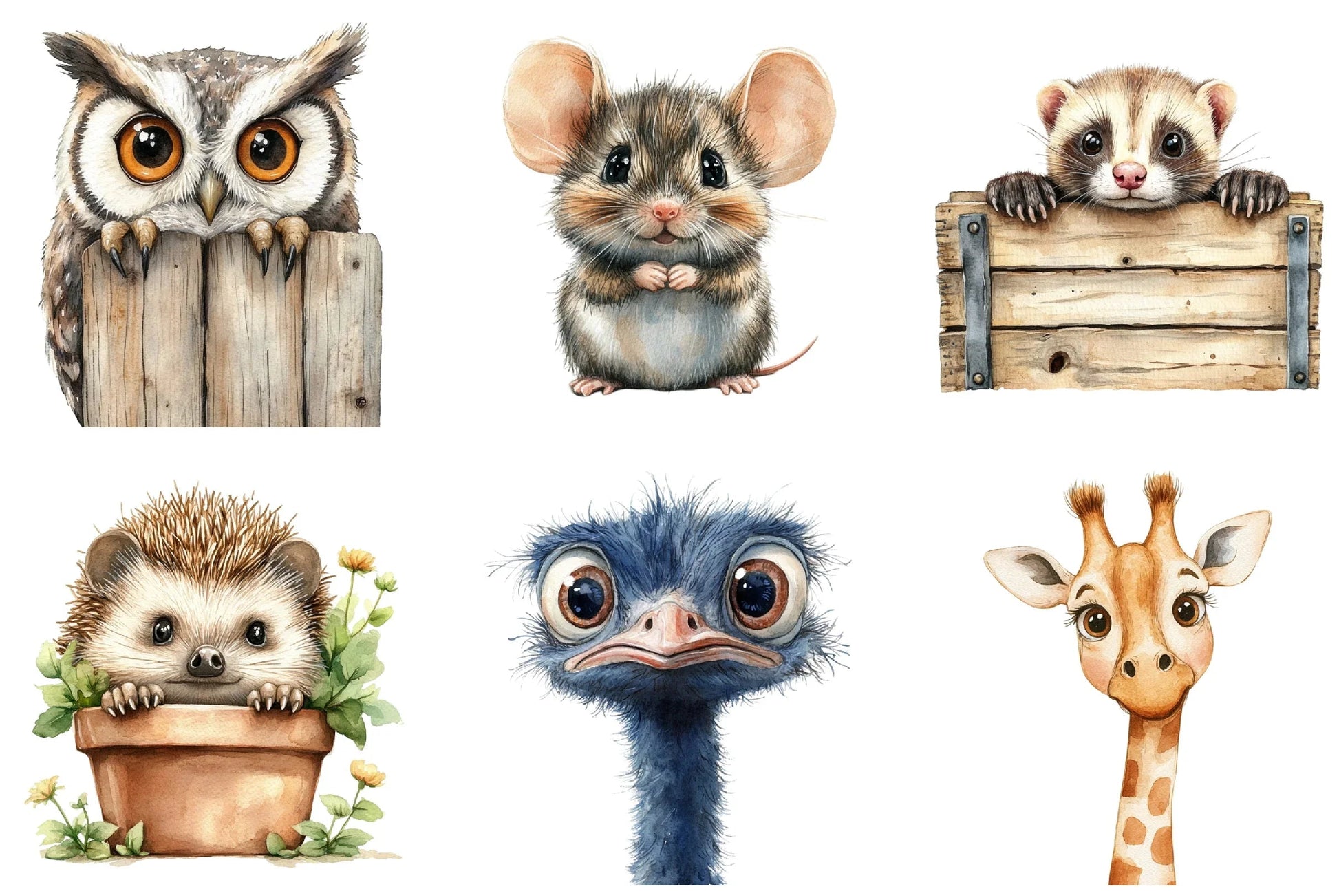 Quirky Animals Peeking Clipart Bundle - CraftNest - Digital Crafting and Art