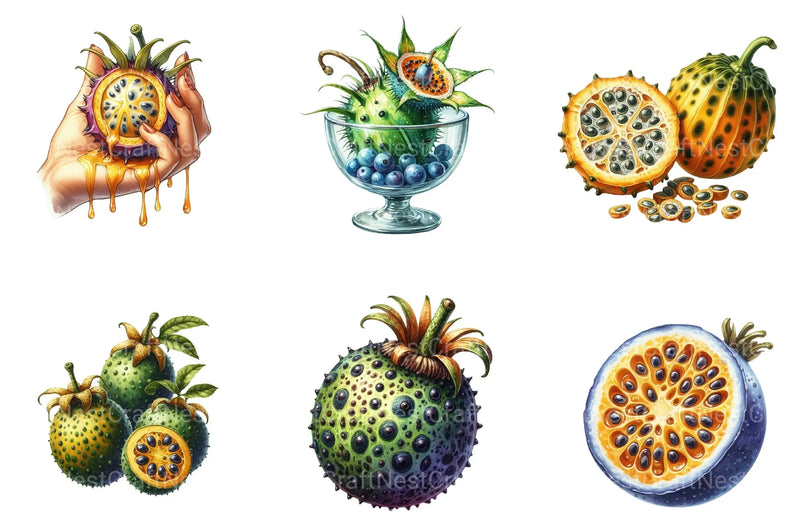 Maracuja Clipart Bundle - CraftNest - Digital Crafting and Art