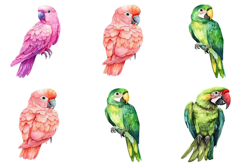Parrots Clipart Bundle - CraftNest - Digital Crafting and Art