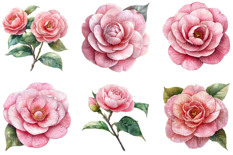 Camellia Flower Bloom Clipart Bundle 99 - CraftNest - Digital Crafting and Art