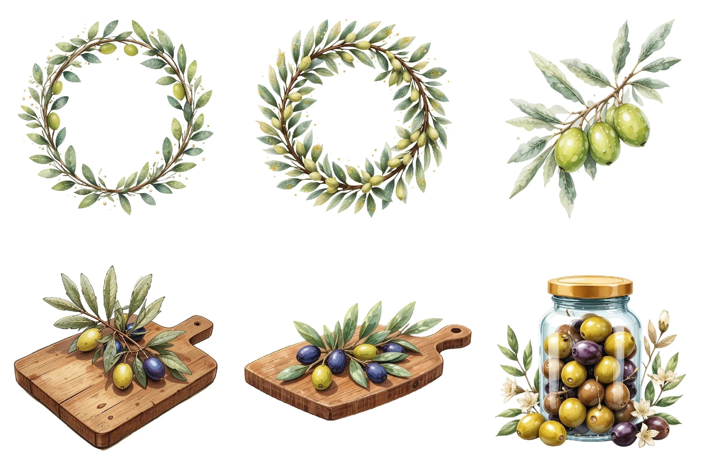 Olive Branch Clipart Bundle - CraftNest - Digital Crafting and Art
