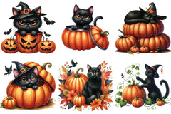 Black Cat and Pumpkin Halloween Clipart Bundle - CraftNest - Digital Crafting and Art