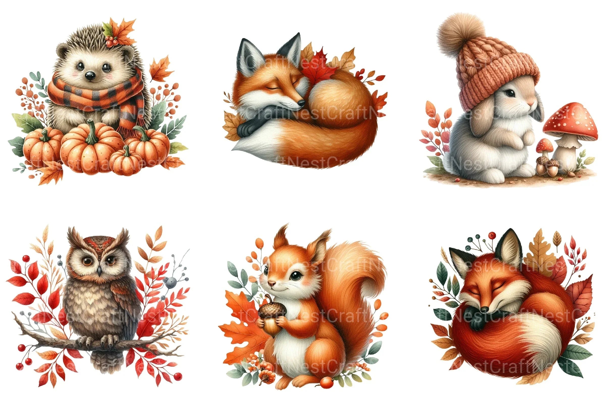 Autumn Fall Animals Clipart Bundle - CraftNest - Digital Crafting and Art
