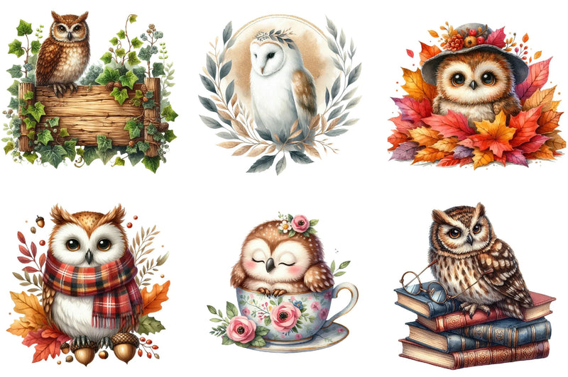 Owl Clipart Bundle - CraftNest - Digital Crafting and Art