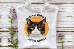 Funny Cat Quotes Clipart Bundle 3 - CraftNest - Digital Crafting and Art