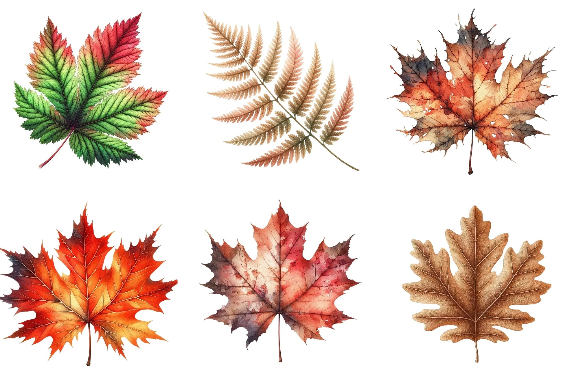 Autumn Leaf Clipart Bundle - CraftNest - Digital Crafting and Art