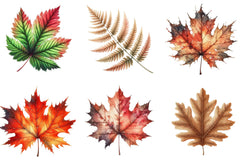 Autumn Leaf Clipart Bundle - CraftNest - Digital Crafting and Art