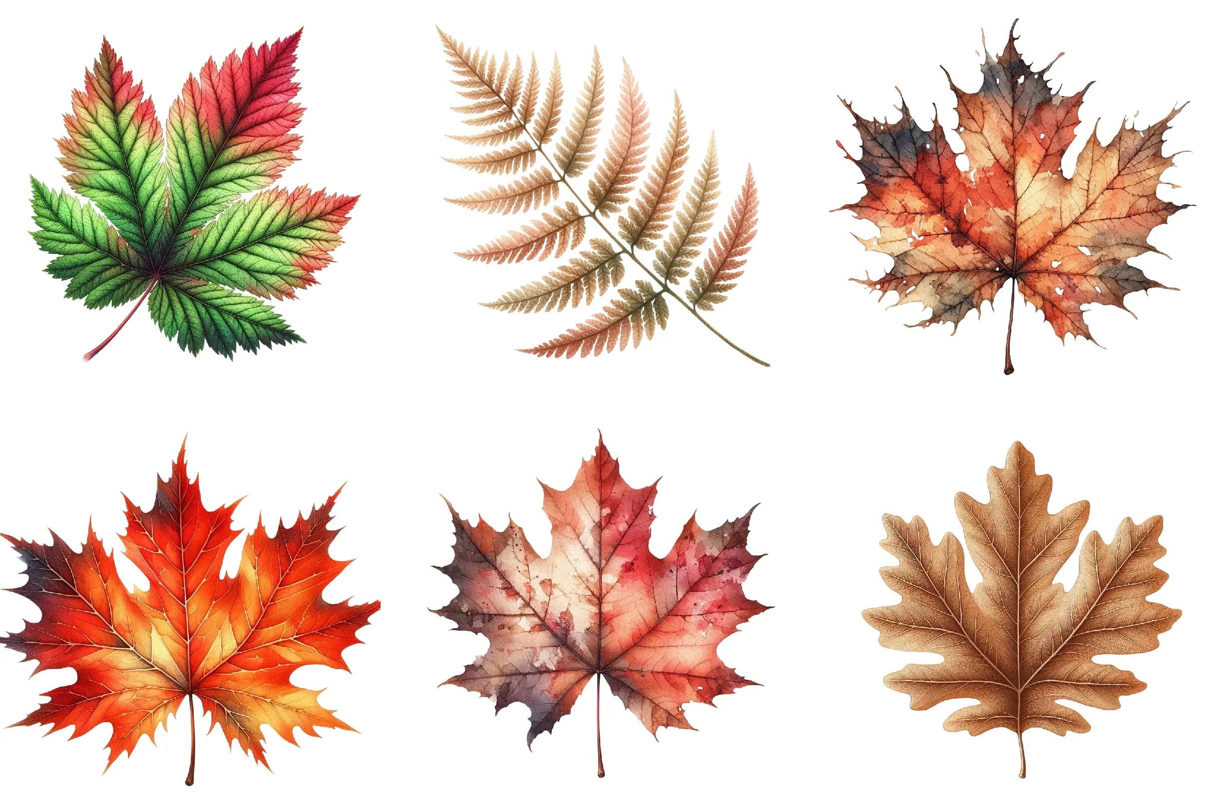 Autumn Leaf Clipart Bundle - CraftNest - Digital Crafting and Art