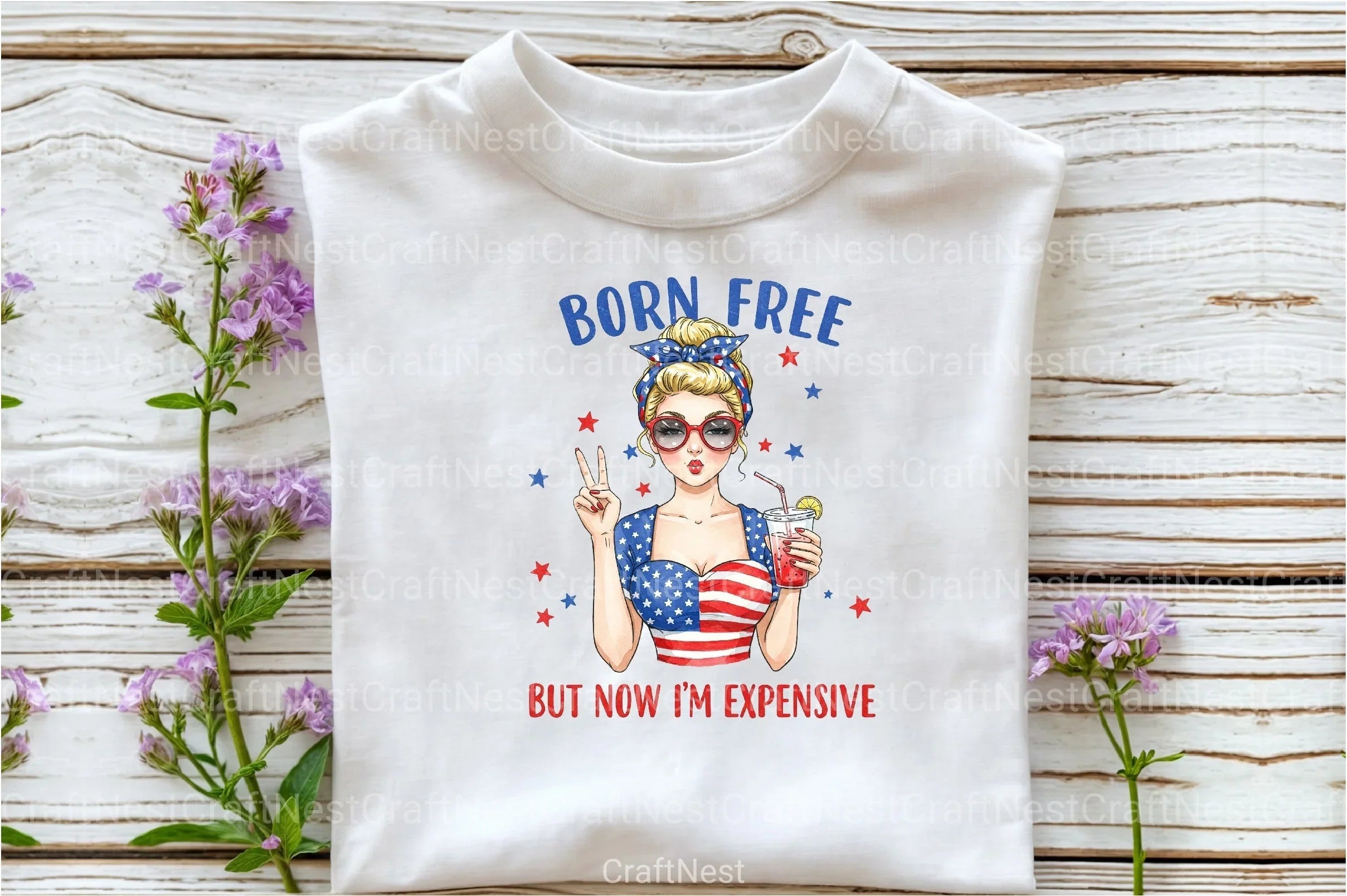 Funny 4th of July USA Patriotic Vintage Clipart Bundle - CraftNest - Digital Crafting and Art