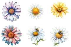 Summer Daisy Clipart Bundle - CraftNest - Digital Crafting and Art