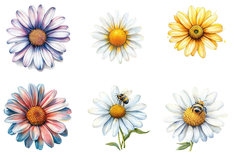 Summer Daisy Clipart Bundle - CraftNest - Digital Crafting and Art