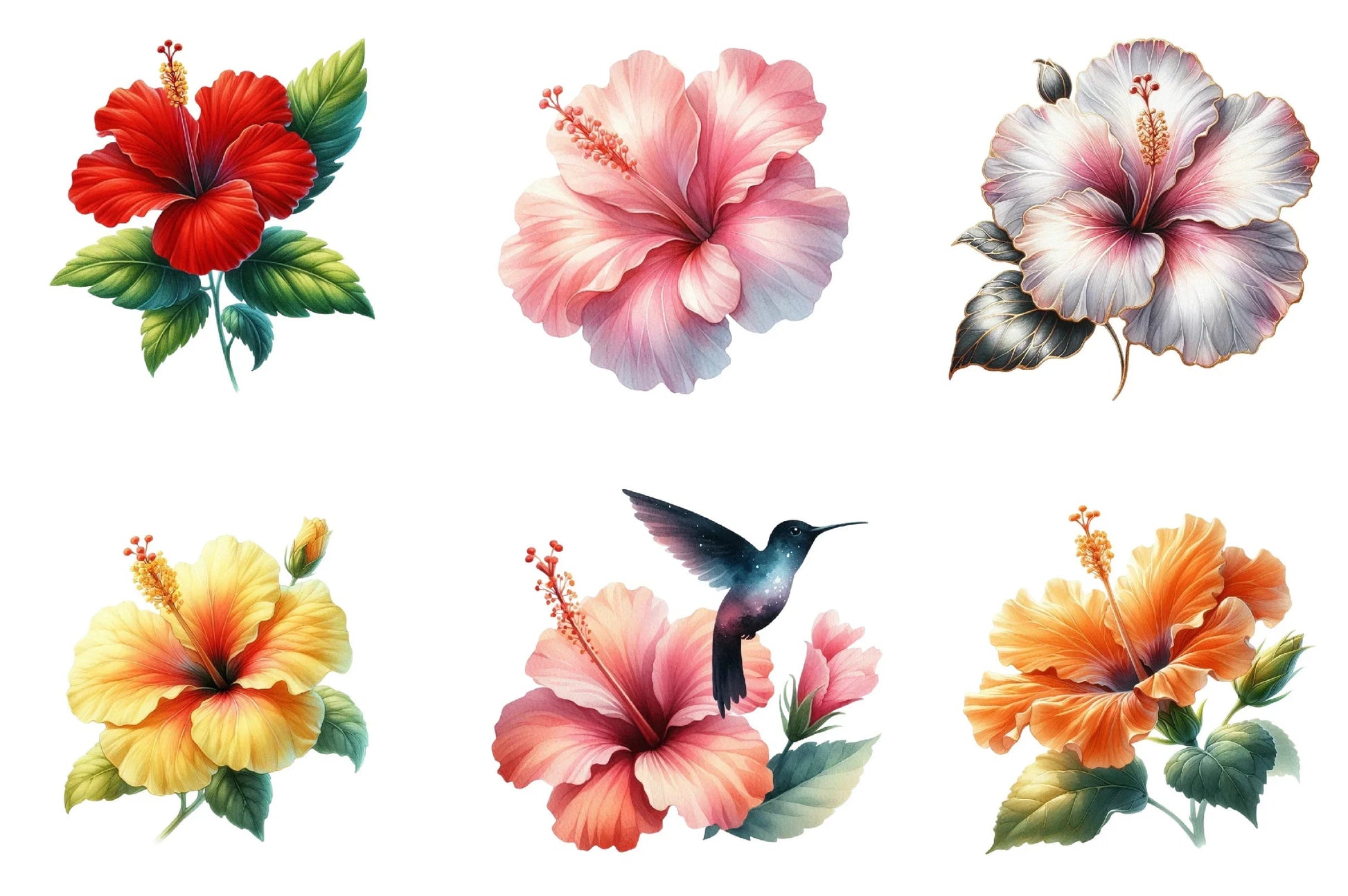 Hibiscus Flower Clipart Bundle - CraftNest - Digital Crafting and Art